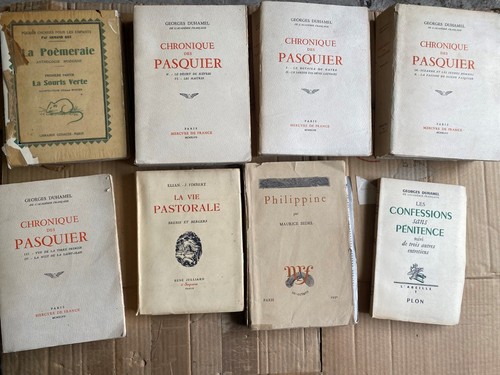 Lot vol bibliophilie fr - 38,