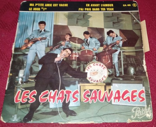 Les chats sauvages avec dick - sauvages,