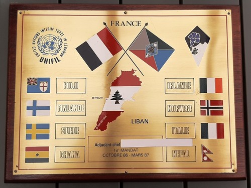 Plaque souvenir division - souvenir, 27°