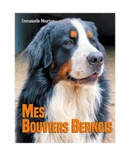 Mes Bouviers Bernois