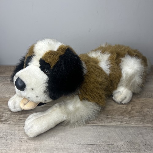 Kids america saint bernard - of,
