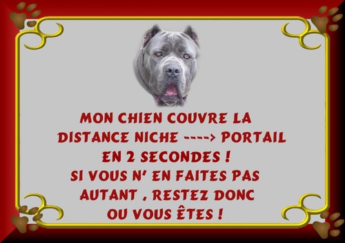 Plaque garde cane - cane, corso
