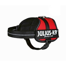 Harnais pour Chien Julius K9 Power Rouge 2 Baby 2 [XS/S]