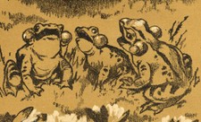 LE CHANT DES GRENOUILLES