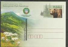 ours bear tragen soportar