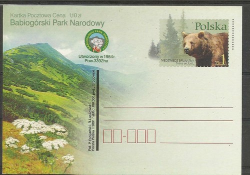 Ours bear tragen soportar - bear,