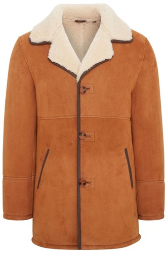 Homme classique fauve - homme,