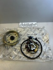 1 ensemble alternateur rotor