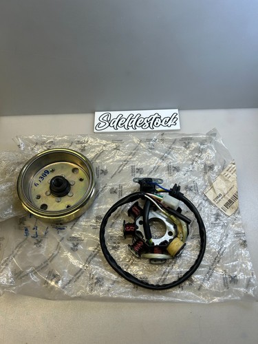 Ensemble alternateur rotor - alternateur,