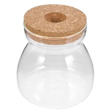  Jarre Verre Bocal Jardinière