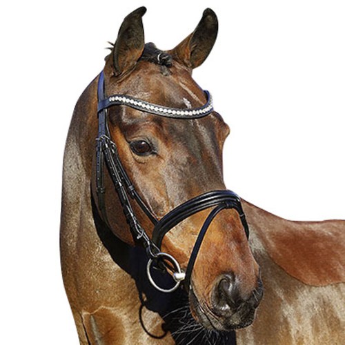 Bridle rochelle euroriding - rochelle,,