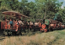 17 SAINT TROJAN LES BAINS