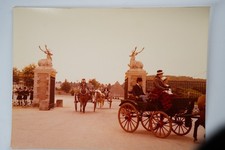 Photo argentique cochers - photo,