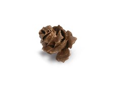 660035 Bigz Matrice Jumbo