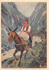 CPA ILLUSTRATEUR / HOMUALK / ROUSSILLON / MULETIER