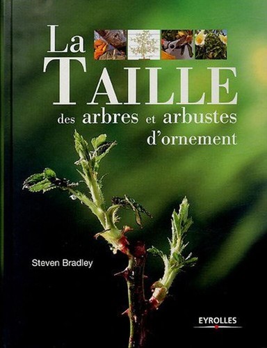 Taille des arbres et - la,