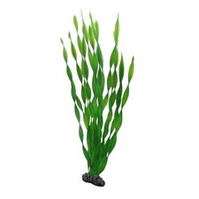 Hobby Vallisneria 46 CM -