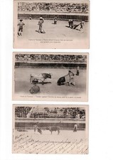 3 CPA COURSE DE TAUREAUX