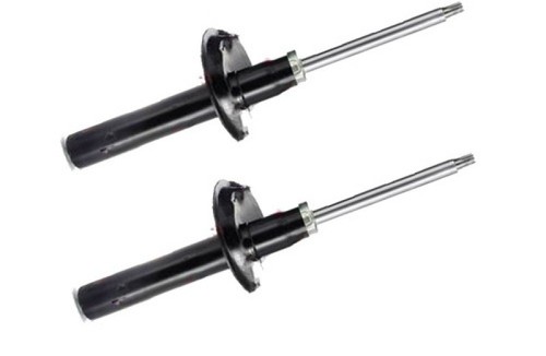 Deux amortisseurs hydrauliques - deux,