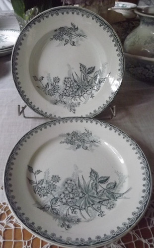 Assiette plate - 1, plate,1