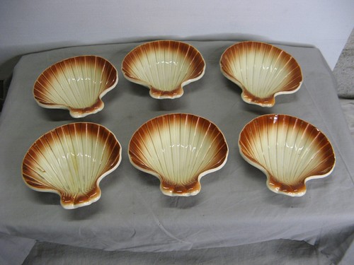 Rare ensemble coquilles - rare, de
