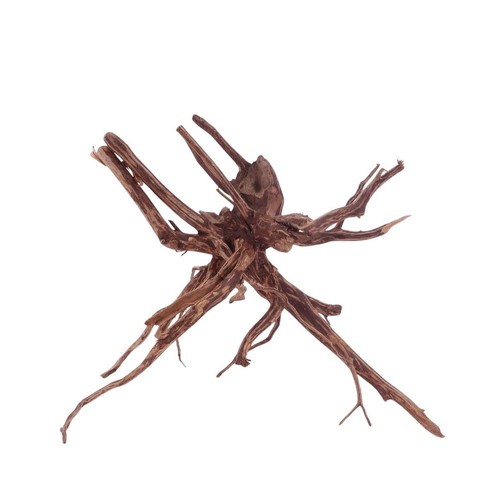 Aquarium racine deko red - aquarium,