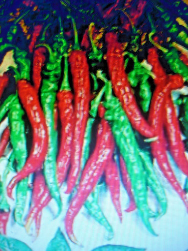 Graines piment doux des - ,