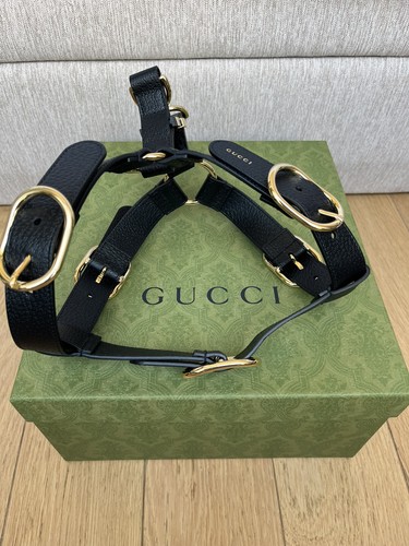 harnais pour chien gucci
