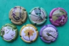 CAUX DOMINIQUE  "Libellules" -