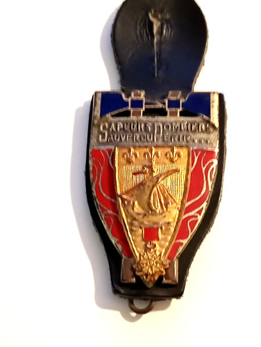 Insigne pucelle de - pucelle,