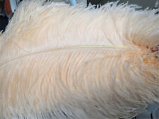 Qualité Champagne Autruche