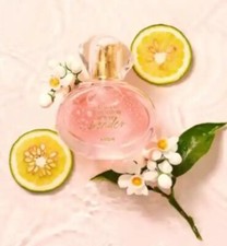 Today tomorrow Always wonder