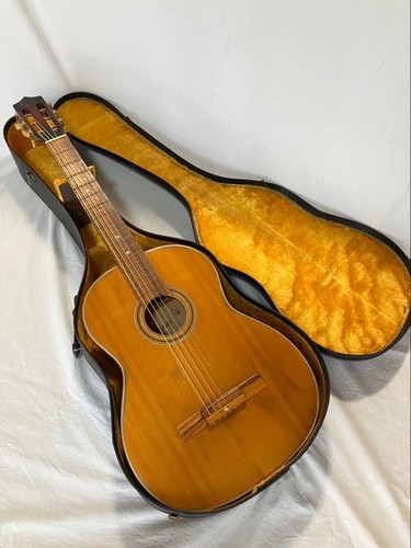 Guitare diana rare - diana,
