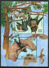 Mayotte  2001  .  Bloc