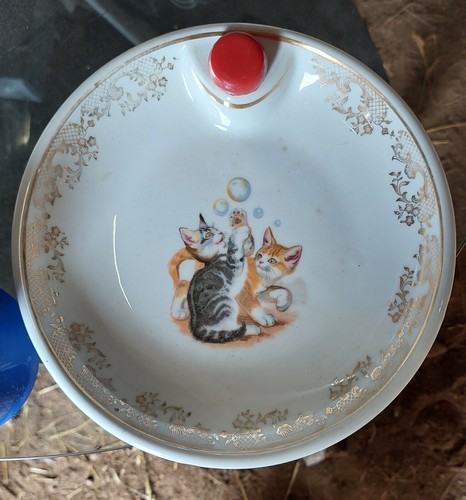 Assiette porcelaine chauffante