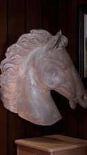 Magnifique tête de cheval