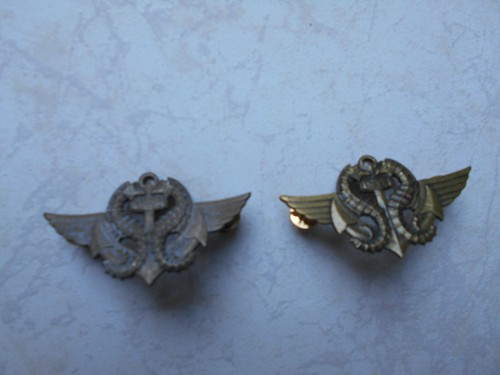 Brevet nageur combat - brevet,
