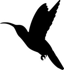 Sticker oiseaux COLIBRIS