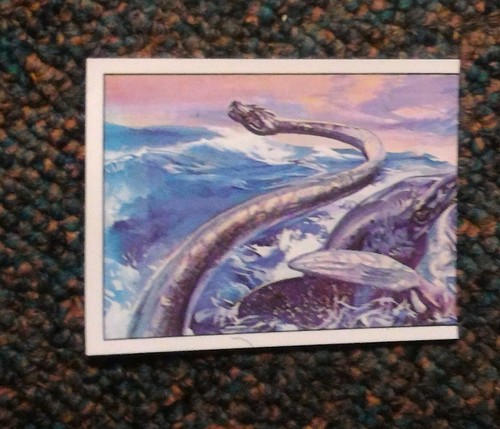 Panini animaux - **,