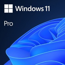 889842906059 %OEM Windows 11