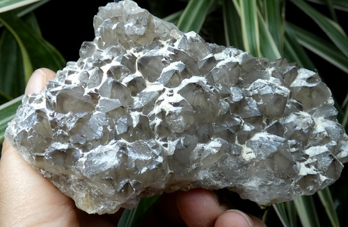 Quartz fumé neigé beauvoir - neigé,