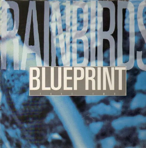 Rainbirds blueprint - (take, two)