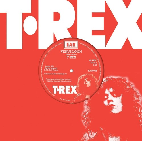 Rex venus loon - loon/till, dawn
