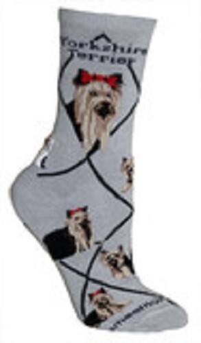 Yorkshire terrier yorkie yorky - terrier,