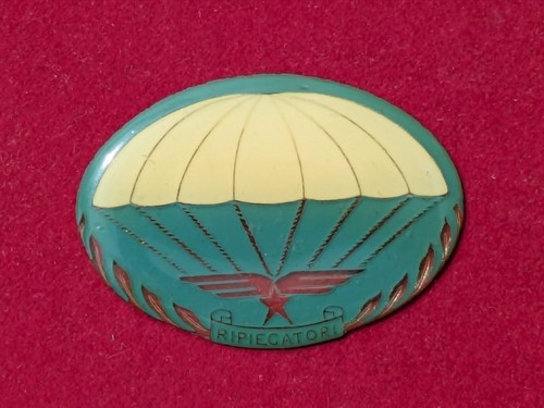 Insigne plaque plastique - insigne,