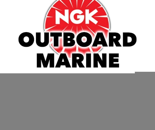 Ngk bougie neuve pour marine - ngk,