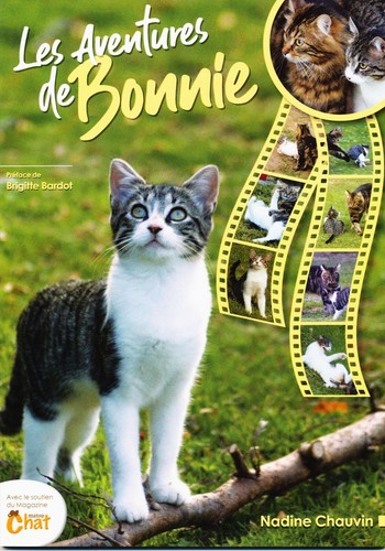 Chat les aventures bonnie - les,