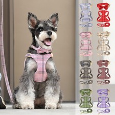 Harnais Pour Chien Set Collier + Laisse Ajustable Pour Chiots Et Petits Chiens