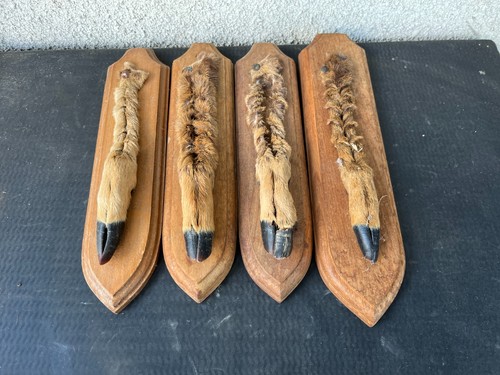 Lot trophees pieds - trophees, de