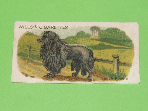 Wills cigarettes card - wills,